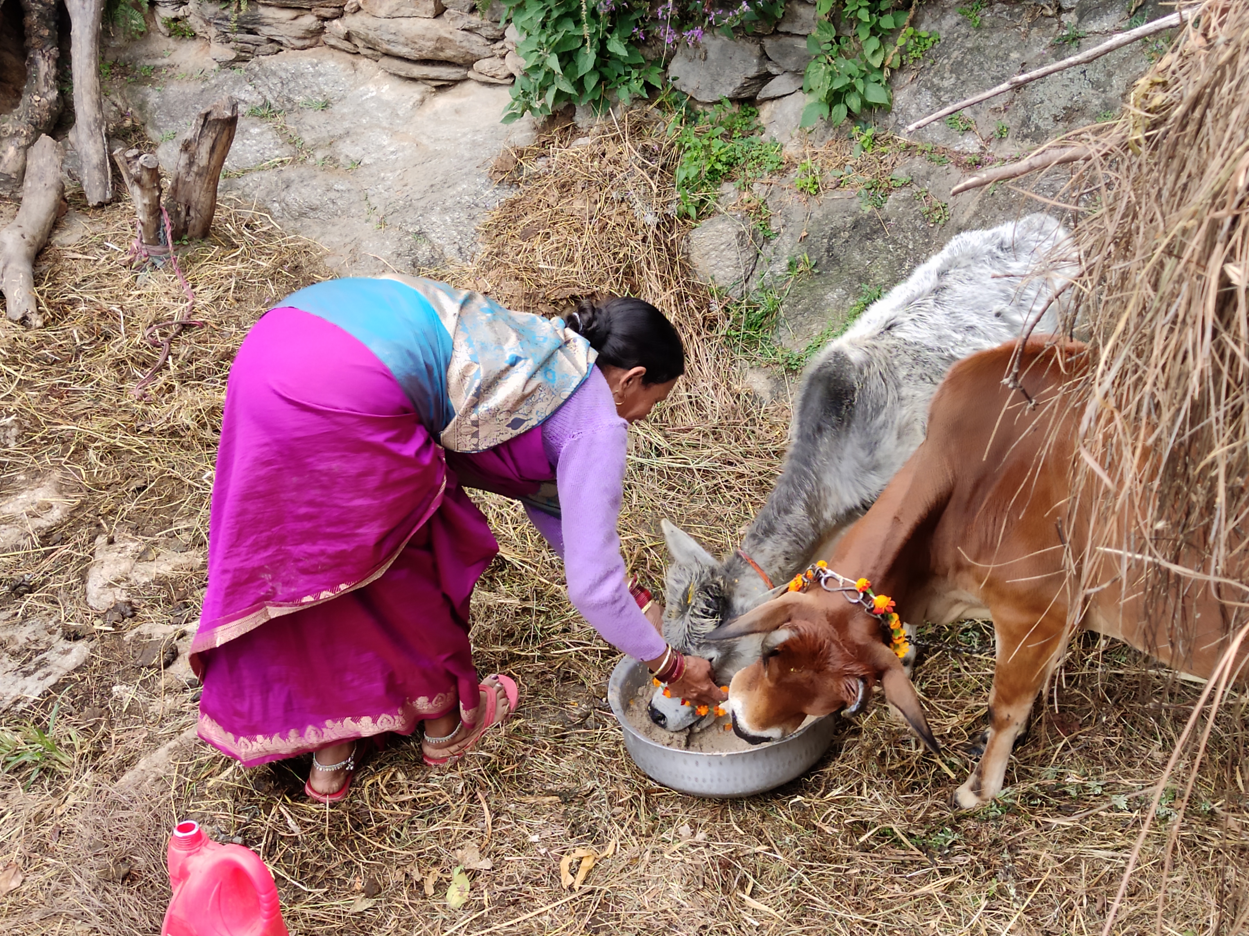 Handcrafted organic products Uttarakhand