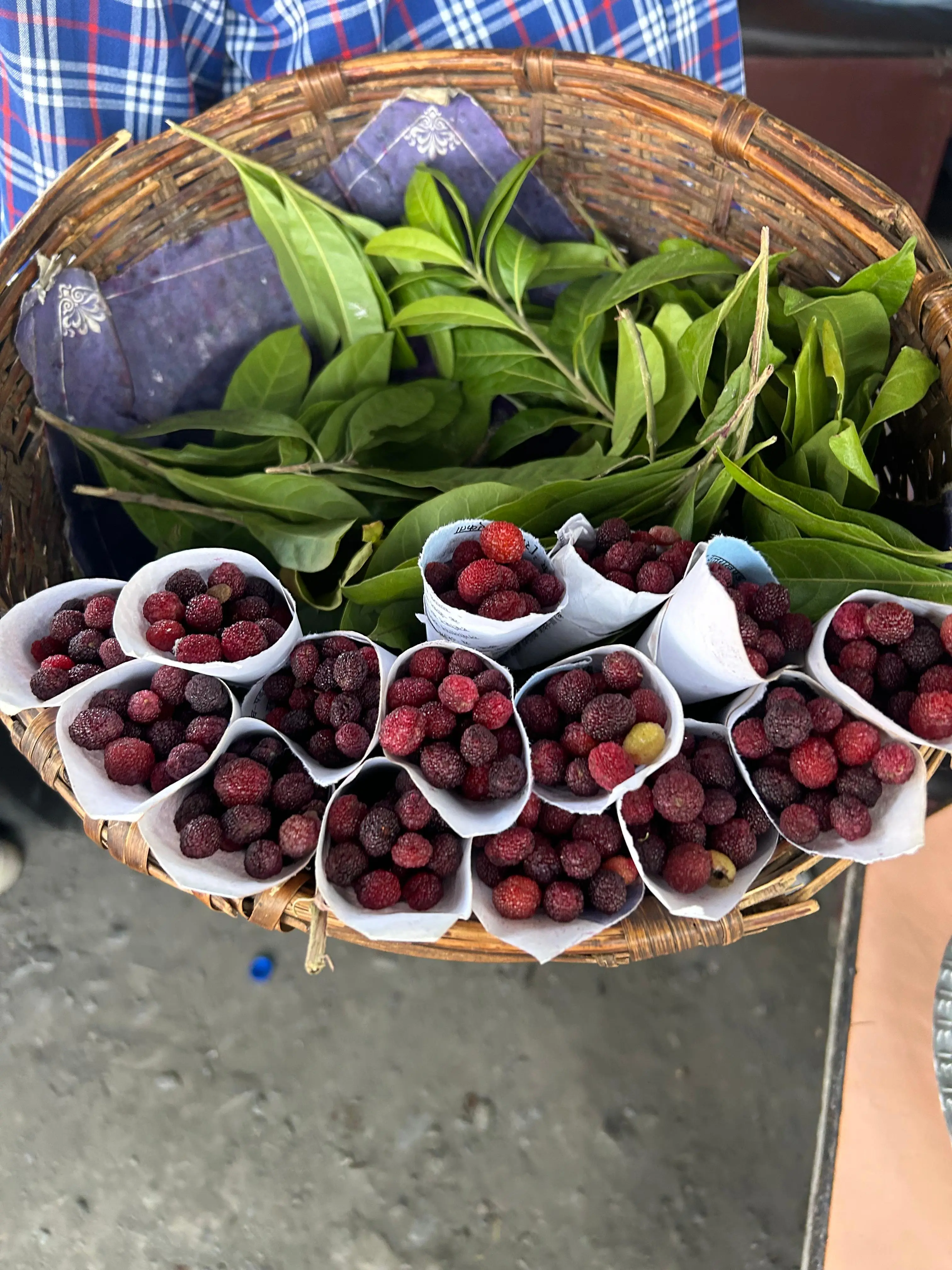 Kaafal (Himalayan Wild Berry) thumbnail 3